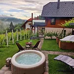 Vineyard Matej *