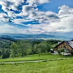 Vineyard Matej *