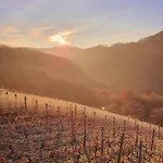 Holiday home Vineyard Matej