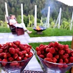 Vineyard Matej Holiday home *