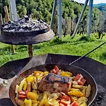 Vineyard Matej * Trebnje