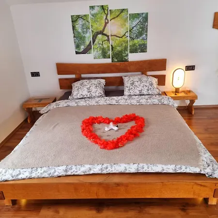 Prázdninový dům Vineyard Matej *