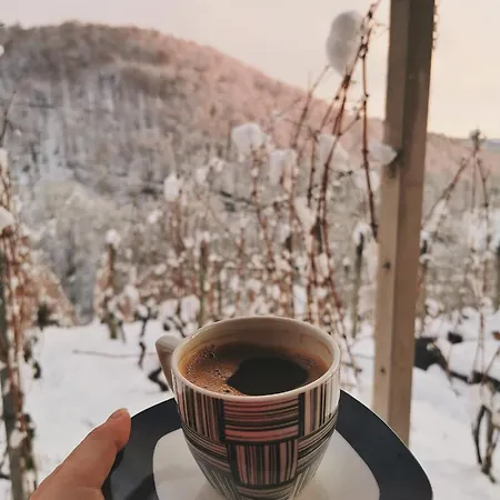 Vineyard Matej