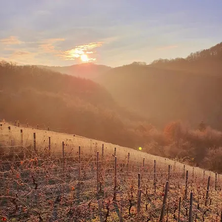 بيت للعطل Vineyard Matej