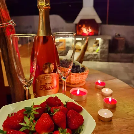 Vineyard Matej Holiday home Trebnje