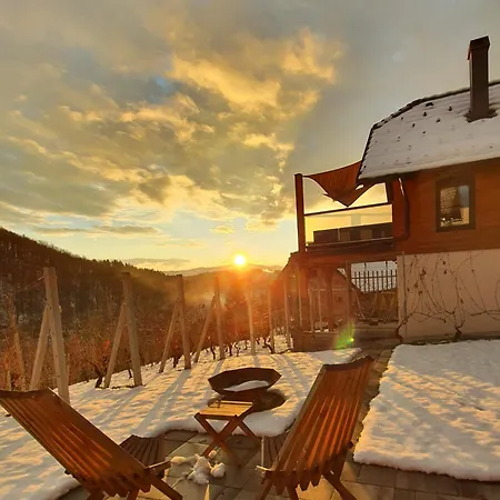 Vineyard Matej Holiday home *