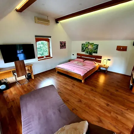 Vineyard Matej Trebnje