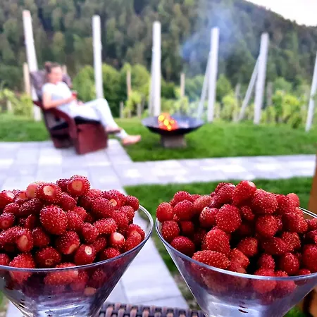 Vineyard Matej بيت للعطل *