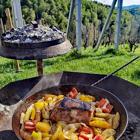 Vineyard Matej * Trebnje