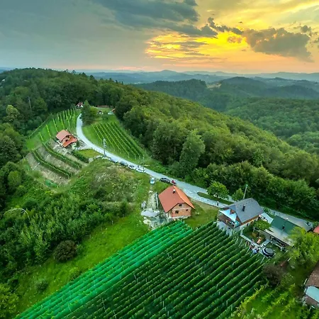 Vineyard Matej Holiday home Trebnje