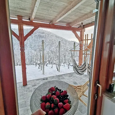 Feriehus Vineyard Matej *