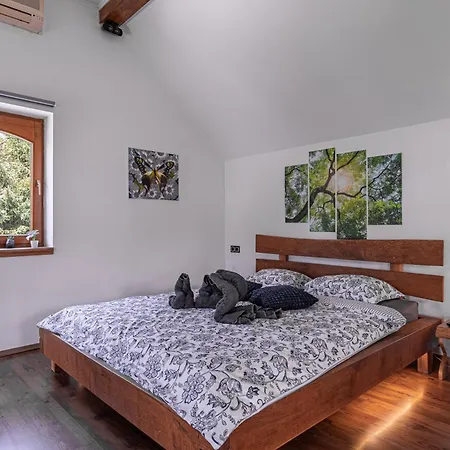 Vineyard Matej Trebnje