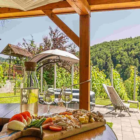 Vineyard Matej Holiday home *