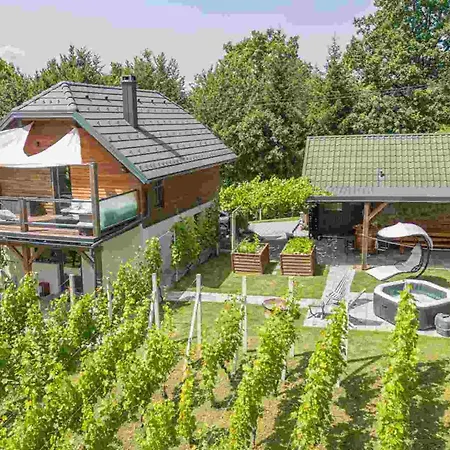 Vineyard Matej Trebnje