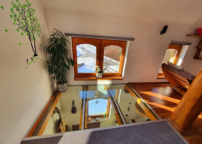 Vineyard Matej Trebnje