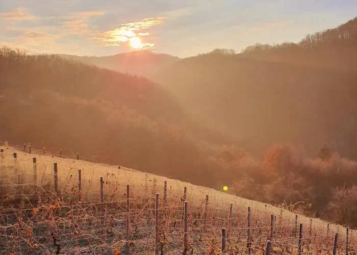 Casa vacanze Vineyard Matej