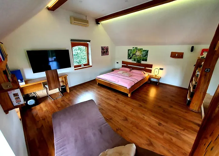 Vineyard Matej Trebnje