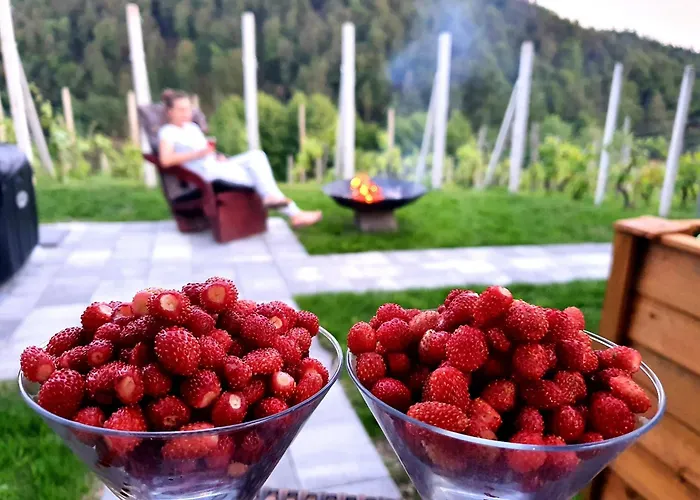 Vineyard Matej Casa vacanze *