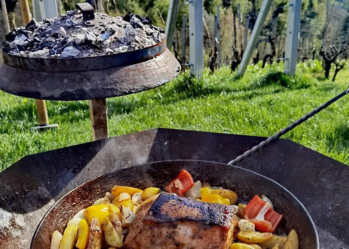 Vineyard Matej * Trebnje