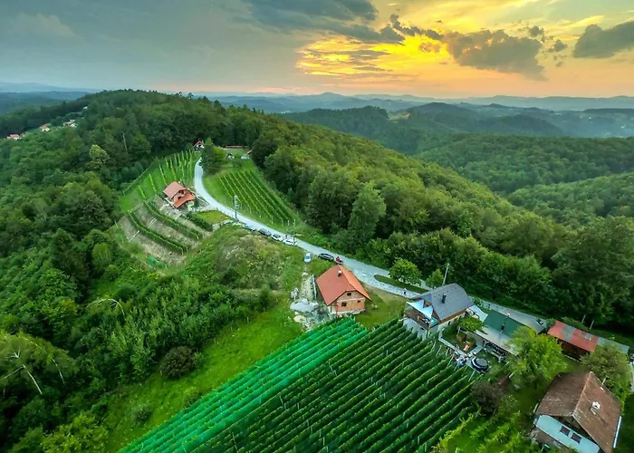Vineyard Matej Casa vacanze Trebnje