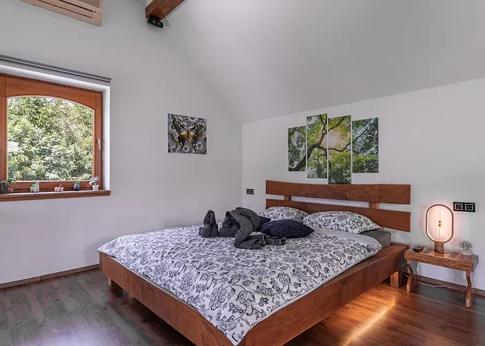 Vineyard Matej Trebnje