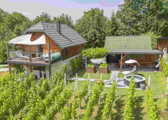 Vineyard Matej Trebnje