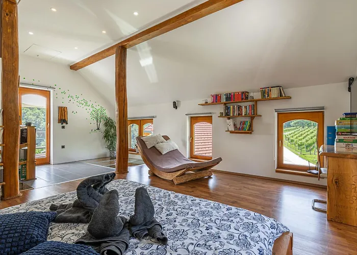 Σπίτι διακοπών Vineyard Matej